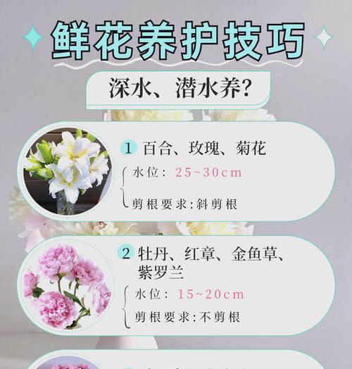 植物节节高如何养护？节节高生长的秘诀是什么？