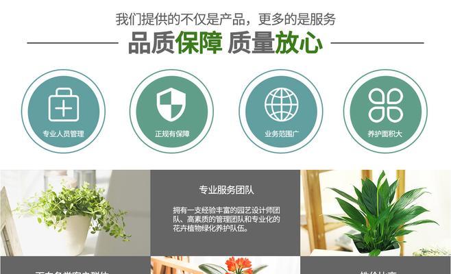 花卉标签锁死是什么情况？如何解决？