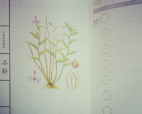有哪些动植物的名字听起来很离谱？
