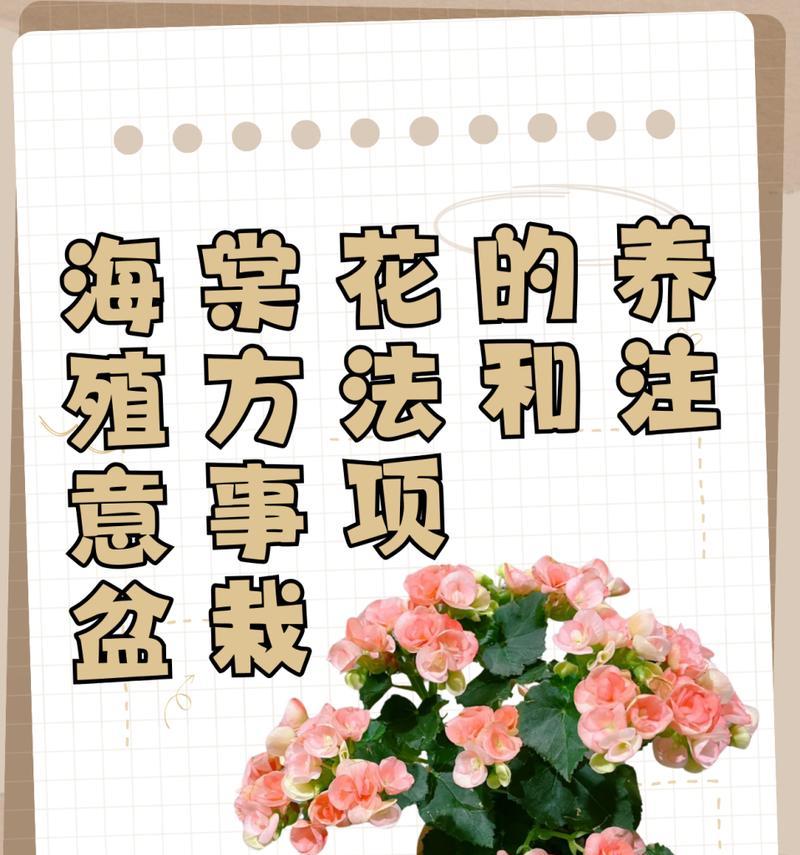 如何打造完美的海棠盆栽丛林？养护中应注意哪些问题？