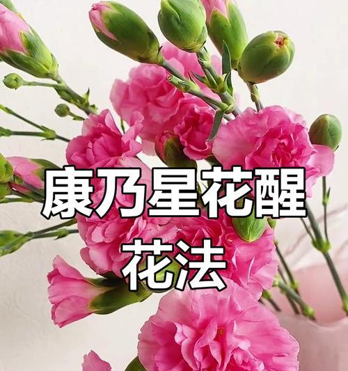花卉醒花步骤是什么意思？如何正确进行花卉醒花？