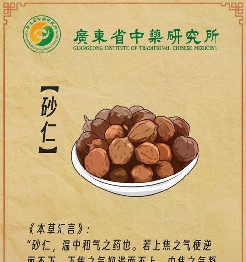 砂仁种子植物的特点是什么？