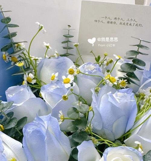 白玫瑰到蓝玫瑰渐变的花语是什么？