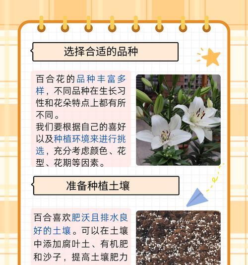 百合种植时为什么要摘除花朵？摘花对百合生长有何影响？