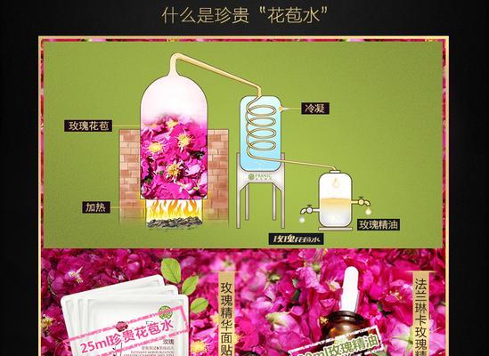 法兰林玫瑰花怎么养护？养护过程中的注意事项和技巧是什么？