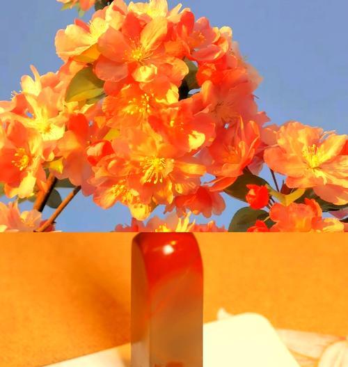 哪种花象征着离别？花语中离别的花有哪些？