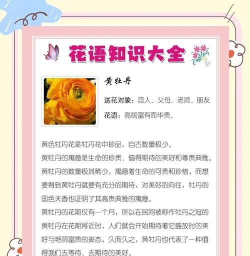 牡丹菊代表什么寓意？花语有哪些含义？