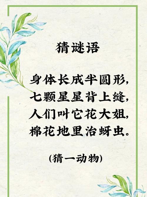 网络用语中棉花语是什么意思？棉花语代表了什么？