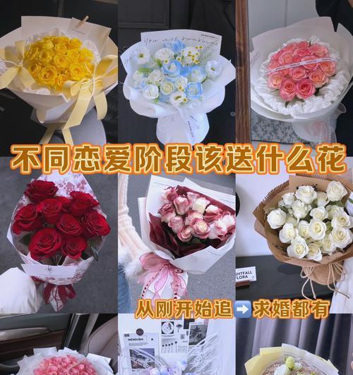 养玫瑰花什么寓意好呢？如何选择适合的玫瑰花语？