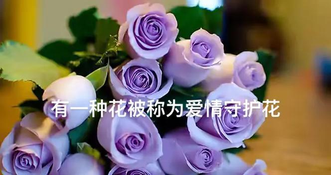 花最浪漫的花语代表什么？它如何表达浪漫？