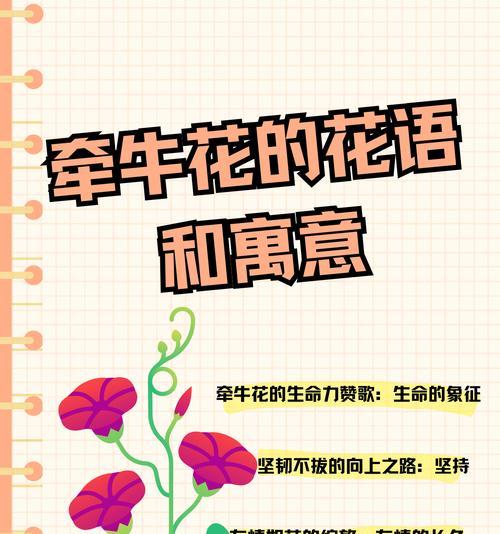 哪种花象征爱情？其花语有何深意？