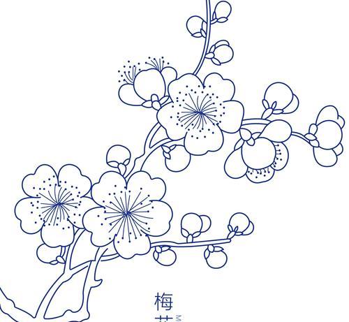 君子花语的寓意是什么？君子花象征着什么？