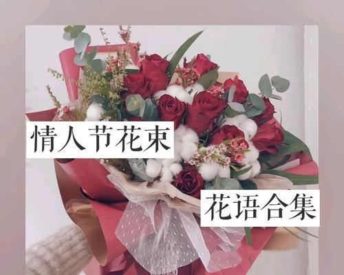 蓝刺鲜花的花语有何特别之处？