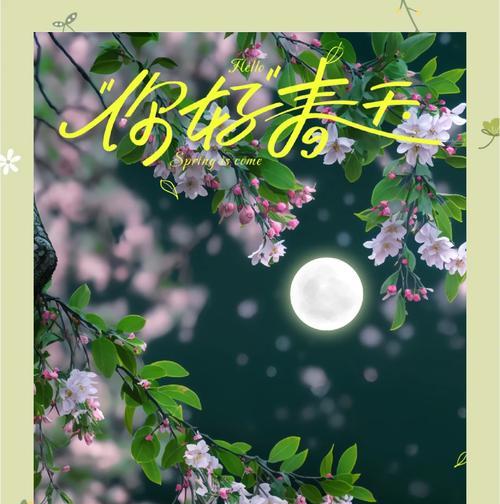 海棠花语和寓意有何深意？