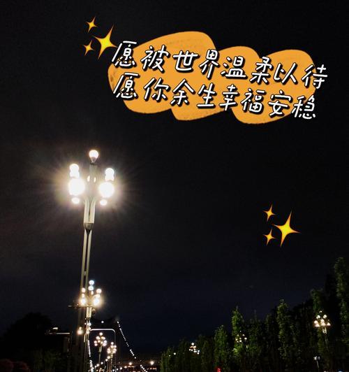 目光所至皆是你花语是什么？这种花象征着什么？