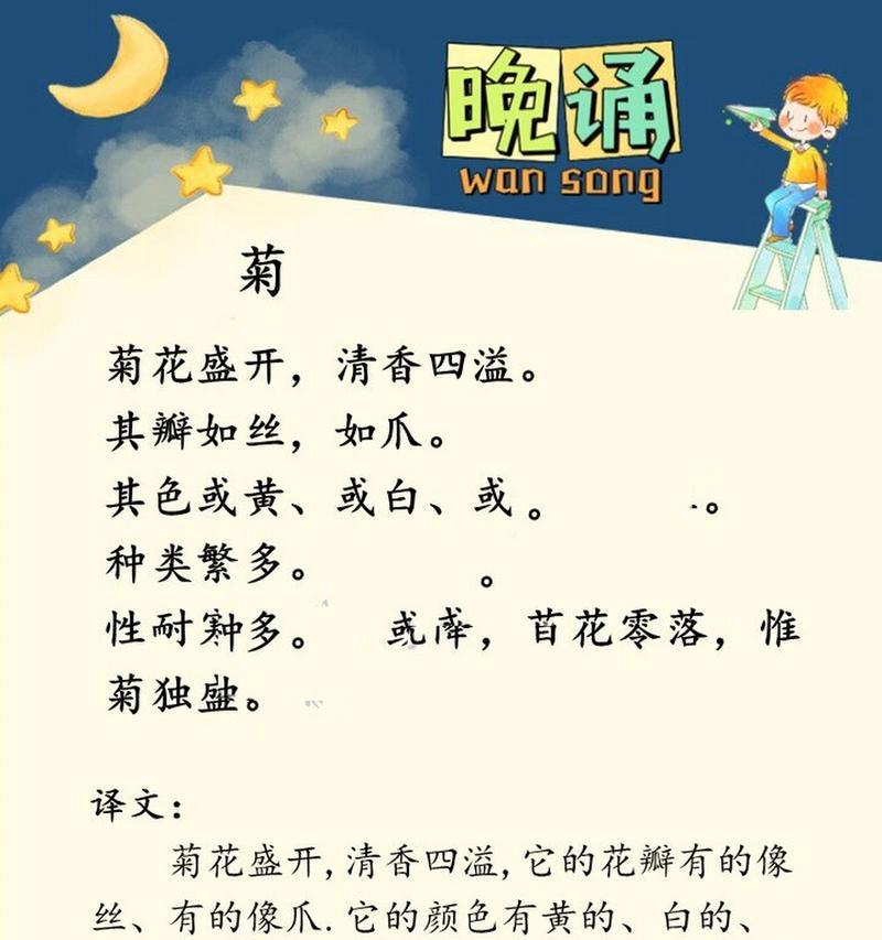 薰衣草小菊的花语和寓意有何特别之处？
