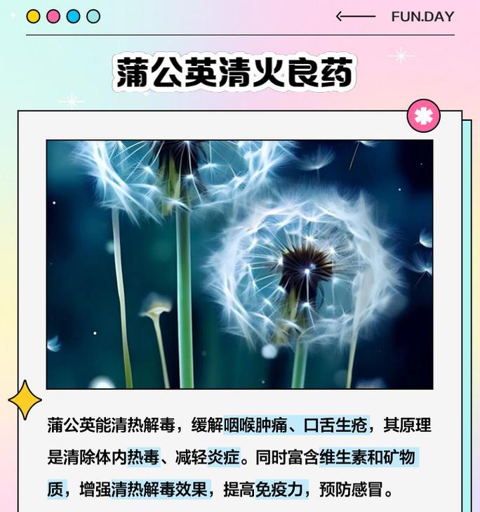 蒲公英的花语有哪些含义？