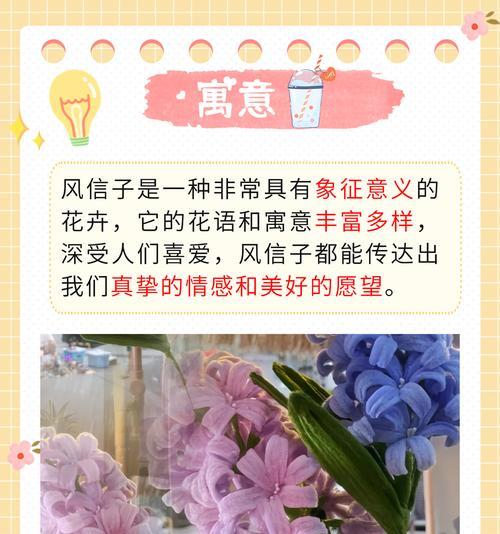 寓意理想的爱情的花语是什么？花语最霸道的花又是什么？