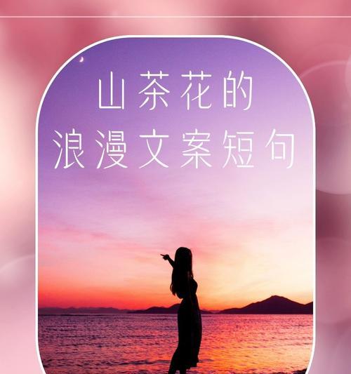 七月有哪些浪漫的花语？如何用花语表达七月的浪漫？
