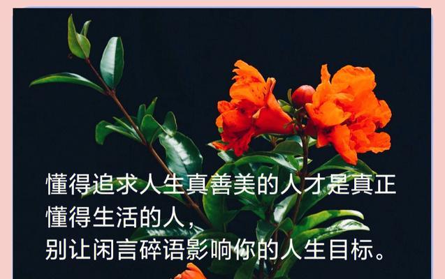石榴花象征着什么？石榴花语有哪些含义？