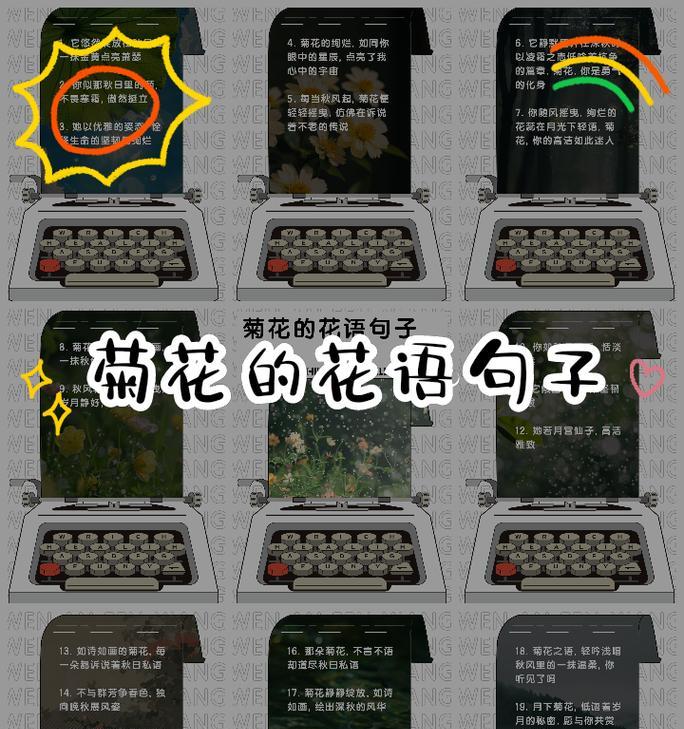 如何用新花语编写句子？