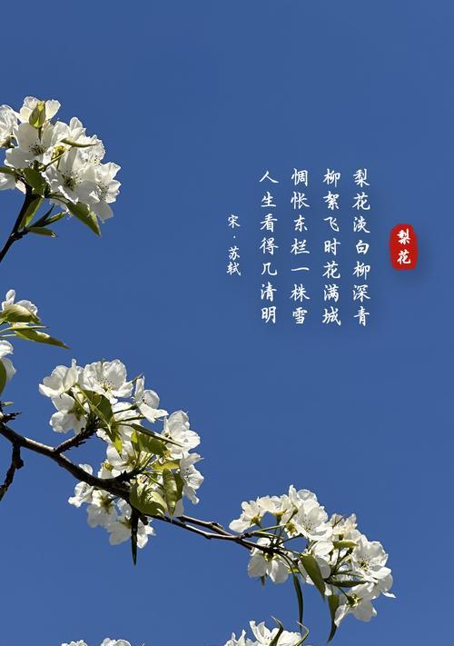 梨花的作用和花语是什么？梨花在花语中有什么特别含义？