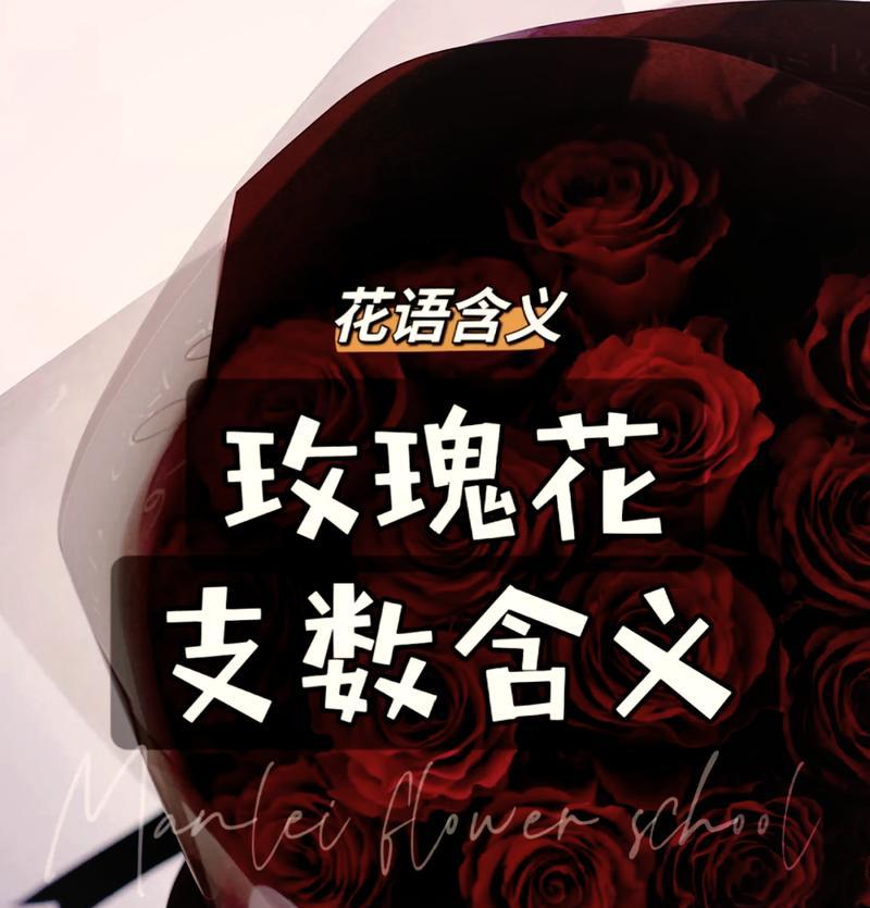 不同品类玫瑰花语有何不同？如何选择合适的玫瑰表达情感？