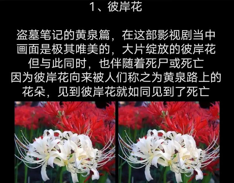 爱情消逝时，花语传达了什么信息？