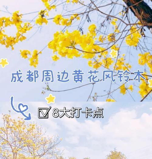 黄花风铃木的花语诗句有哪些？