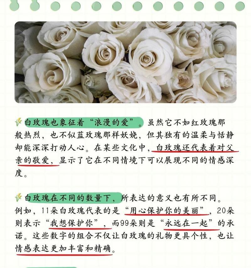 好的玫瑰花代表什么？