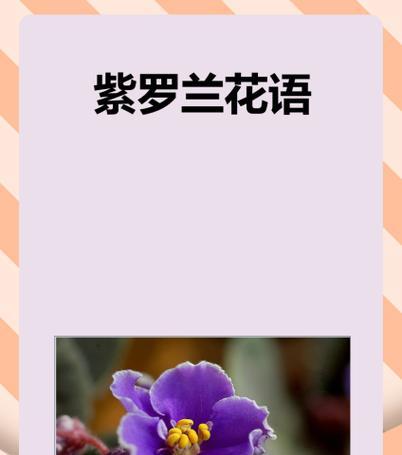 新婚礼物中花语应如何表达祝福？