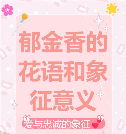 郁金香的花语和寓意是什么？