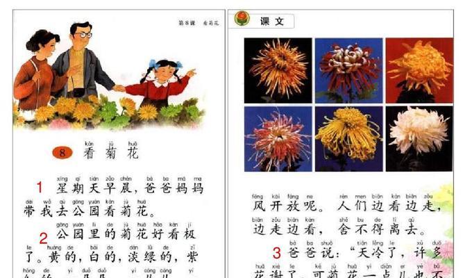 维菊花语代表什么含义？