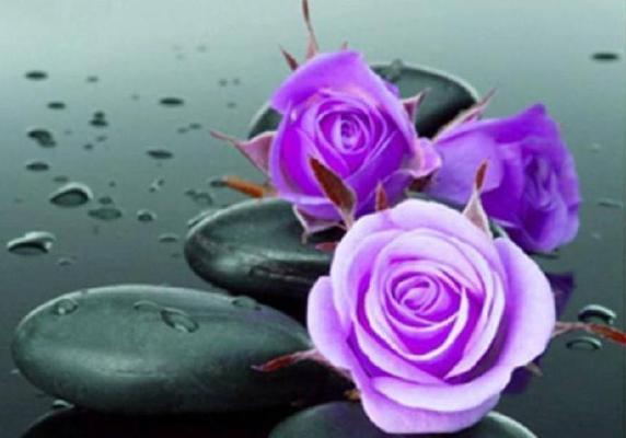 紫色花的浪漫花语通常是什么？