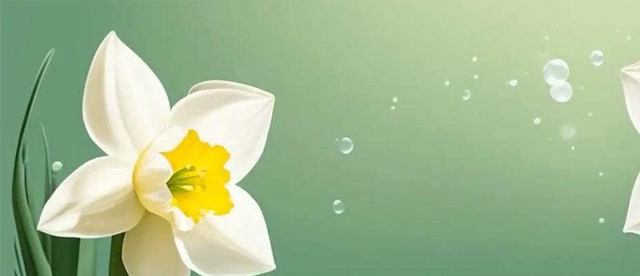 水仙花语中隐藏的含义？