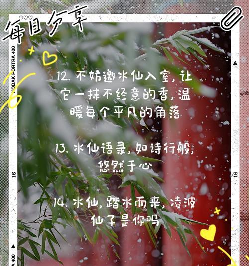 水仙花语中隐藏的含义？