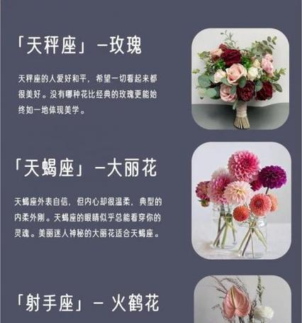 什么花的花语是什么意思？如何理解各种花的象征意义？