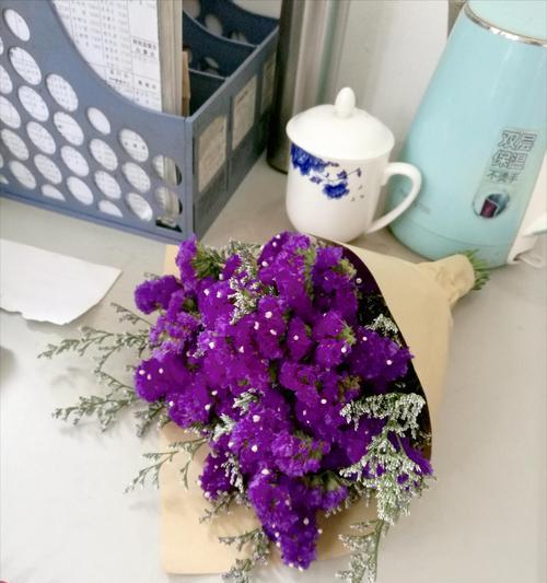 三月适合送什么花？它们的花语和寓意是什么？