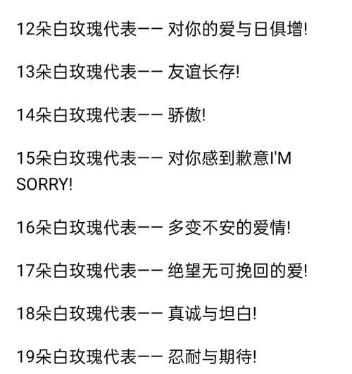 白玫瑰与蔷薇花语有何不同？