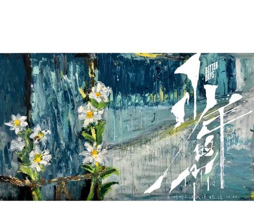 小雏菊在雾中传递了哪些信息？