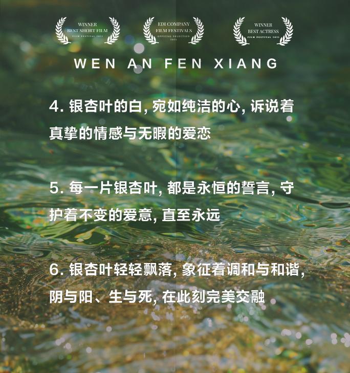 “我的眼里全是你”的花语是什么？它代表了怎样的情感？