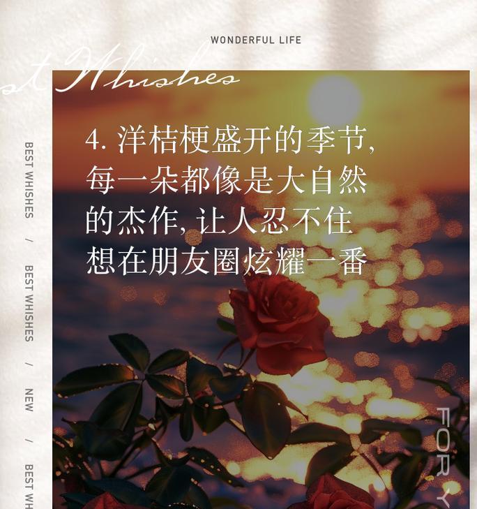 洋桔梗花束30字花语有哪些？如何用简短的花语表达爱意？