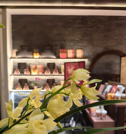 茶米花的花语代表什么？茶米花在花语中象征着什么？