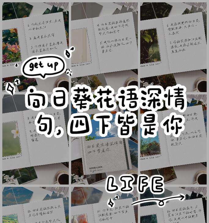深情悲伤的花语是什么意思？这种花语表达了怎样的情感？