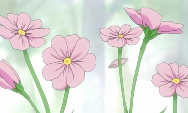 火影玫瑰花的花语代表了什么？
