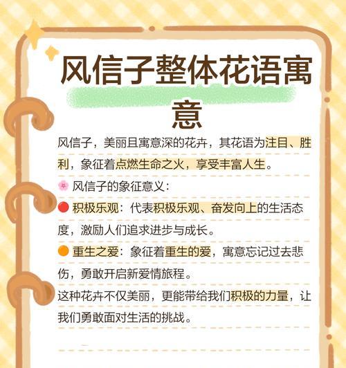 第七束风信子的花语有何特别之处？