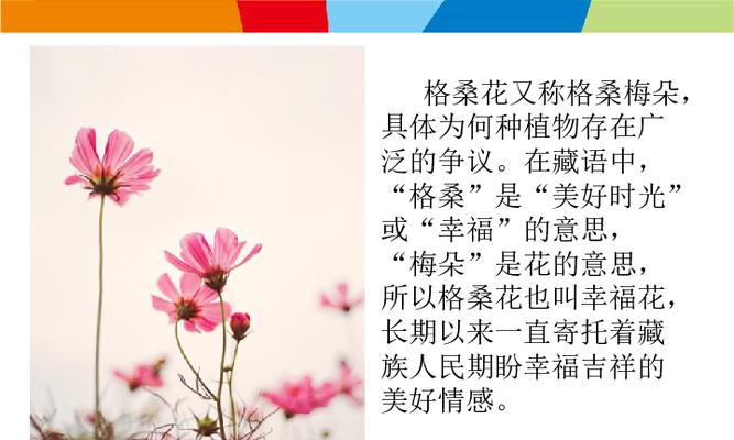 真心准备的花语代表什么含义？
