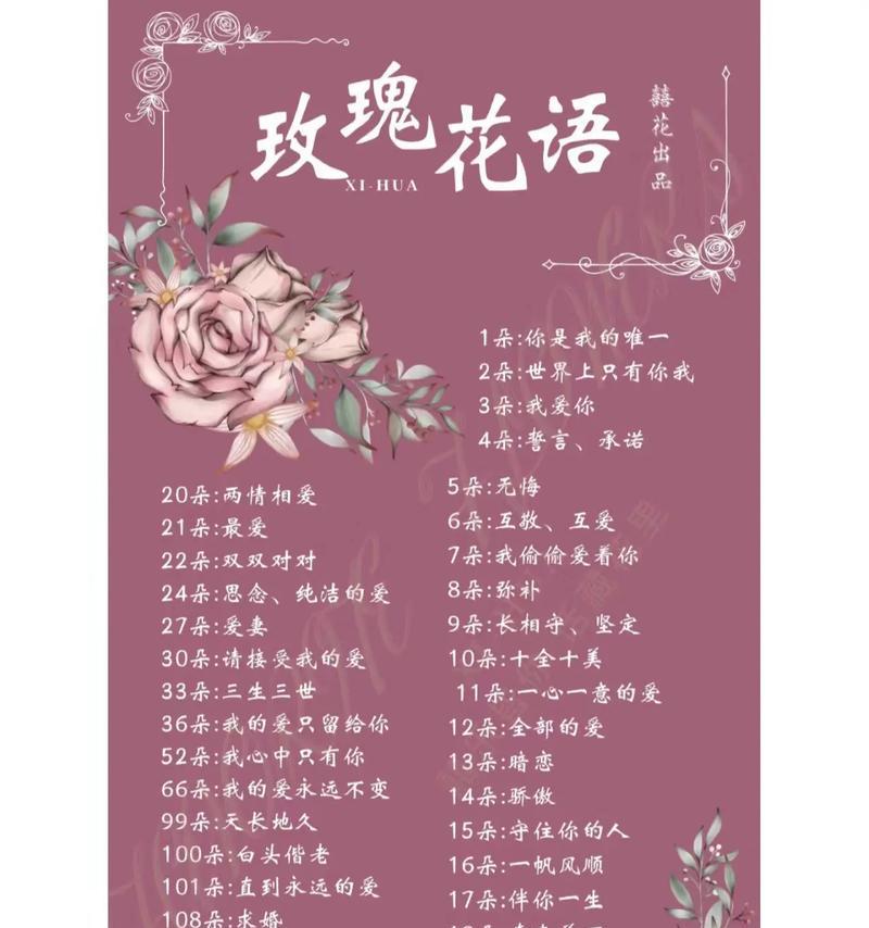 朵拉里玫瑰的花语有何含义？