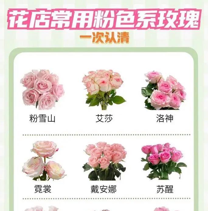 粉玫瑰和洋桔梗组合的花语含义是什么？