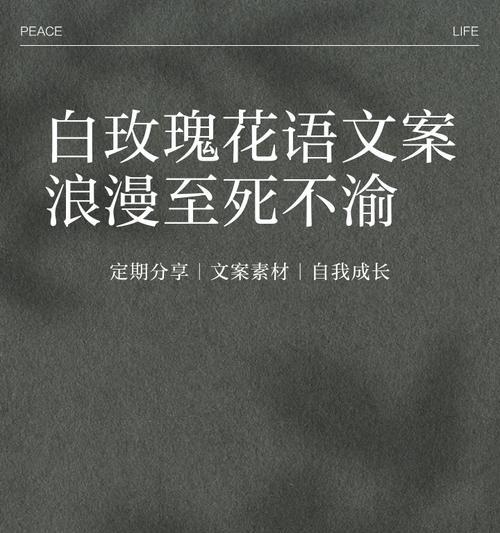 高端白玫瑰的花语有何深意？它通常用来表达什么？
